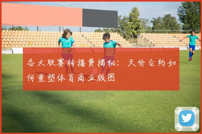 各大联赛转播费揭秘:天价合约如何重塑体育商业版图
