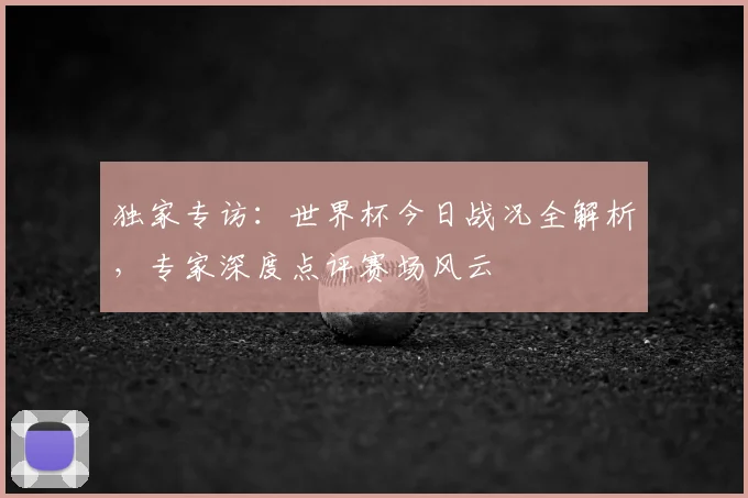独家专访：世界杯今日战况全解析，专家深度点评赛场风云