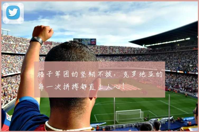 格子军团的坚韧不拔，克罗地亚的每一次拼搏都直击人心！