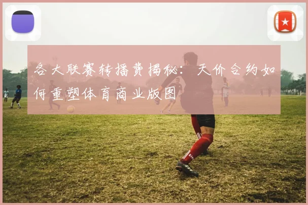 各大联赛转播费揭秘：天价合约如何重塑体育商业版图